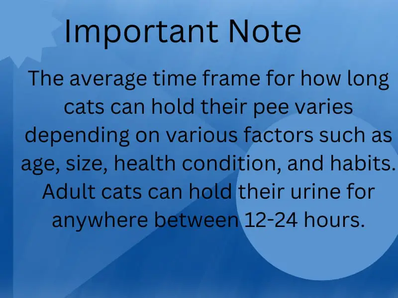 How Long Can Cats Hold Their Pee